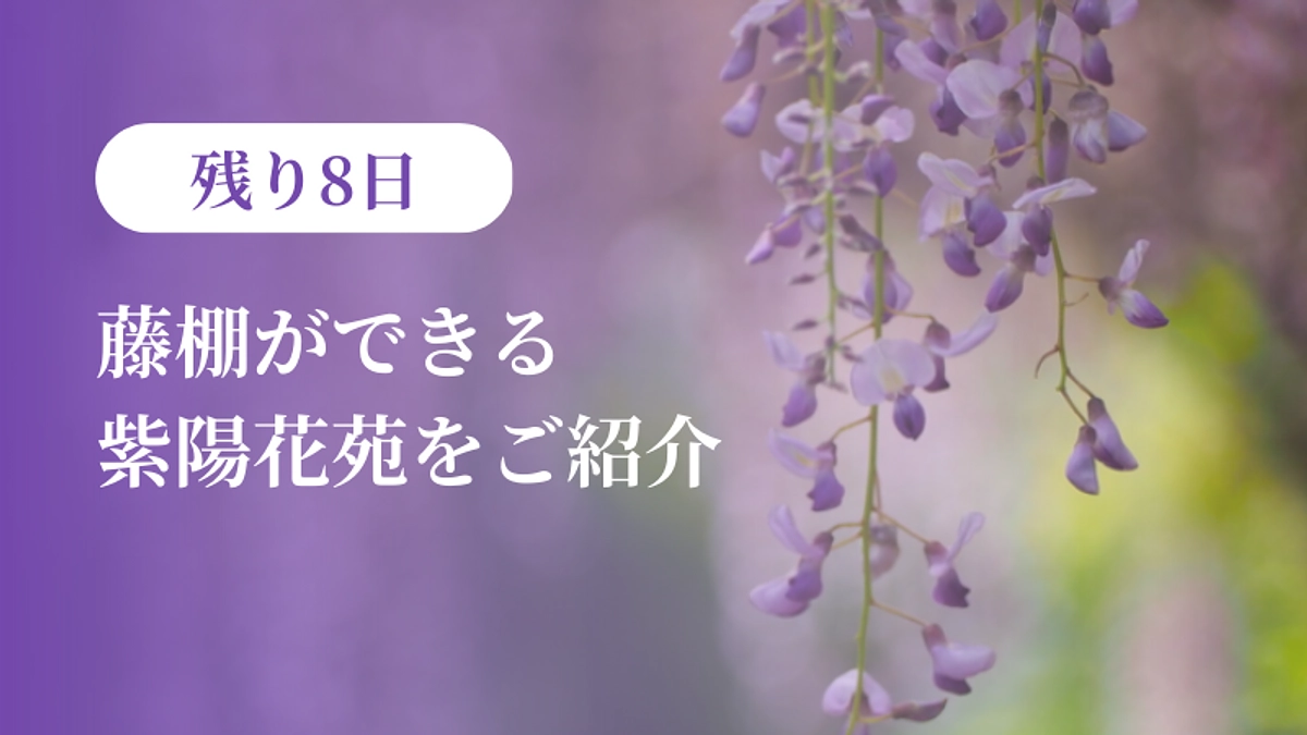 【残り8日】藤棚ができる紫陽花苑をご紹介