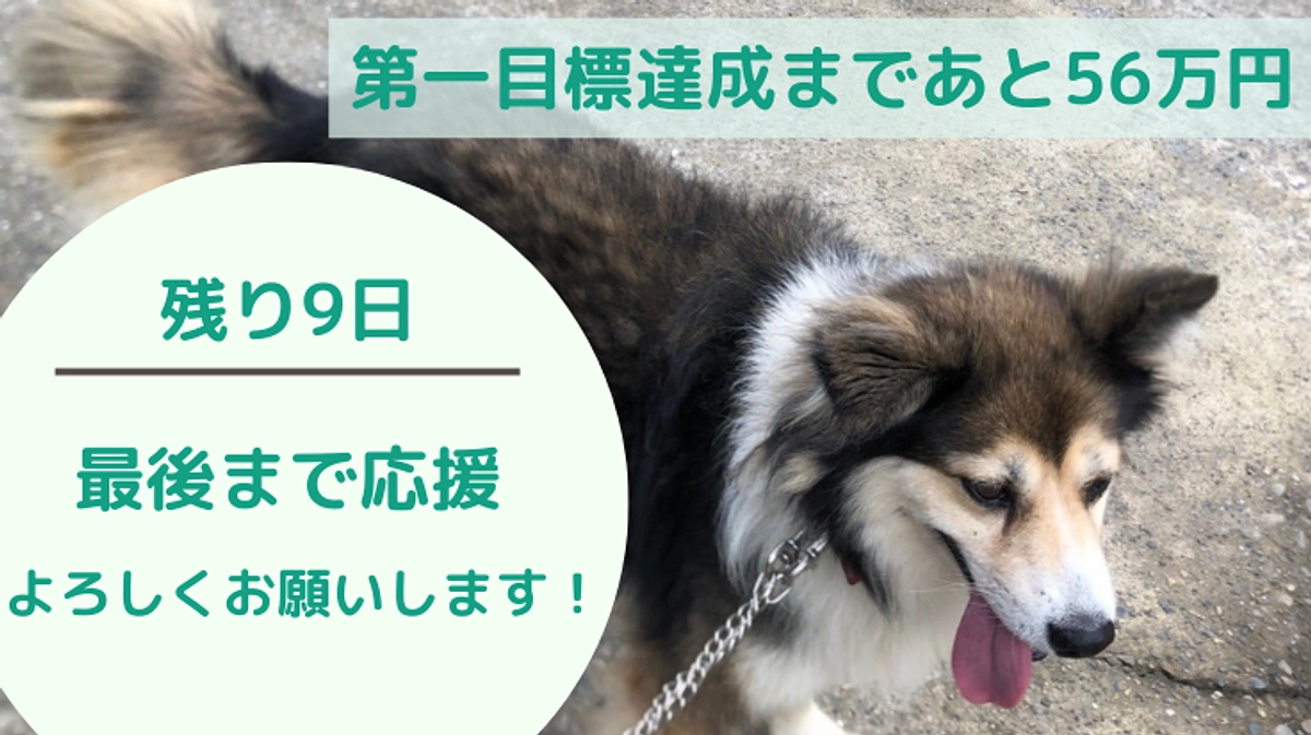 【残り9日】第一目標まであと約50万円となりました!