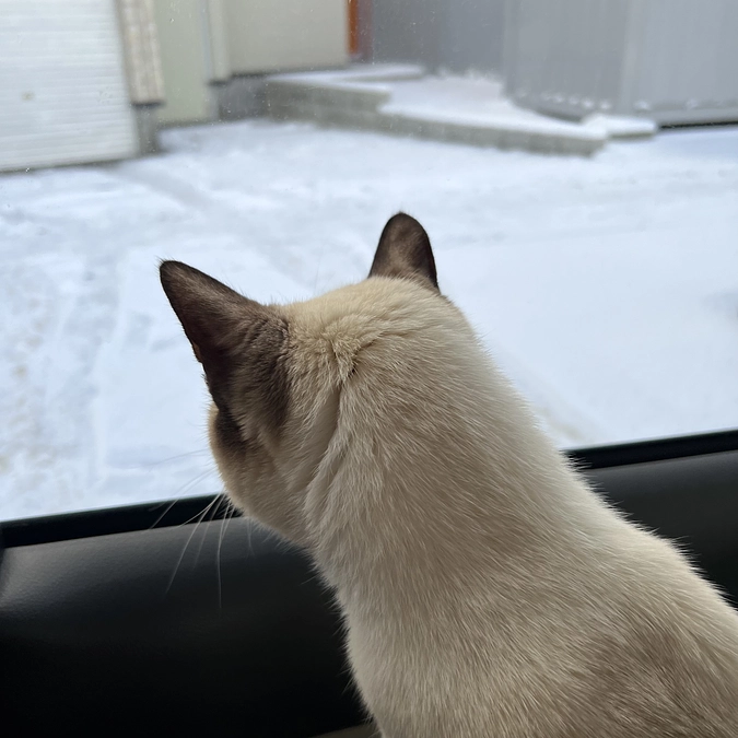 投薬治療８週目検診