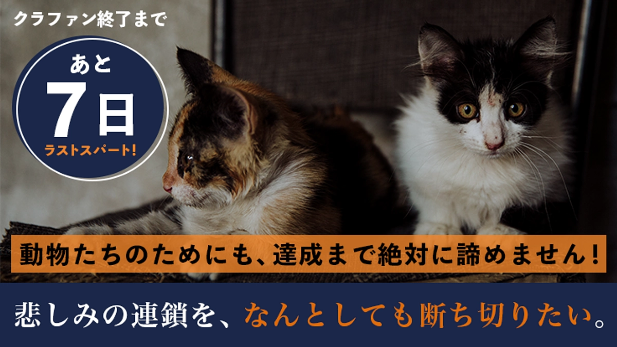 【あと7日】着実に達成へ近づいています…！！！