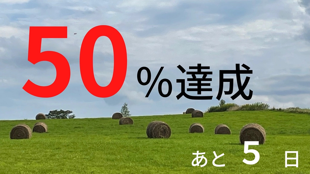 50%到達しました。最後まで頑張ります！