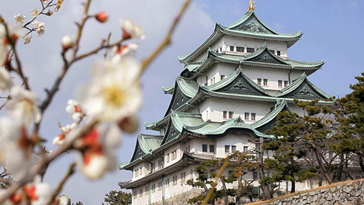 日本文化を伝える動画20本に中国語訳を挿入し中国本土で放映したい！