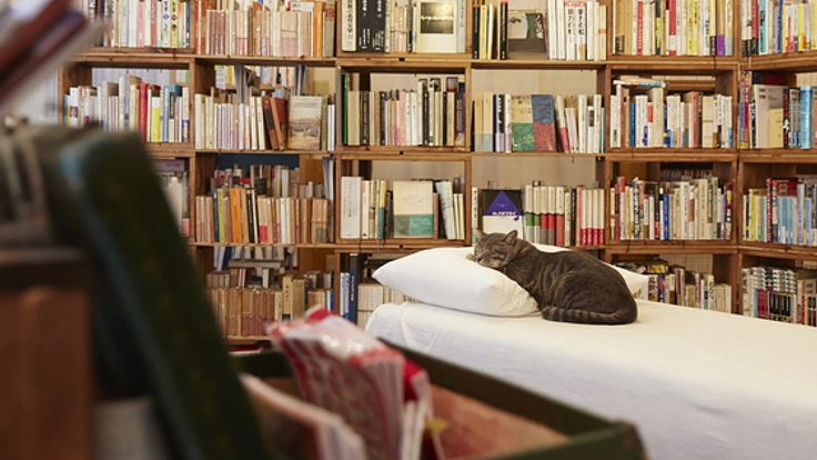 街の本屋さんをつなぎ、紹介するポータルサイトをつくりたい！