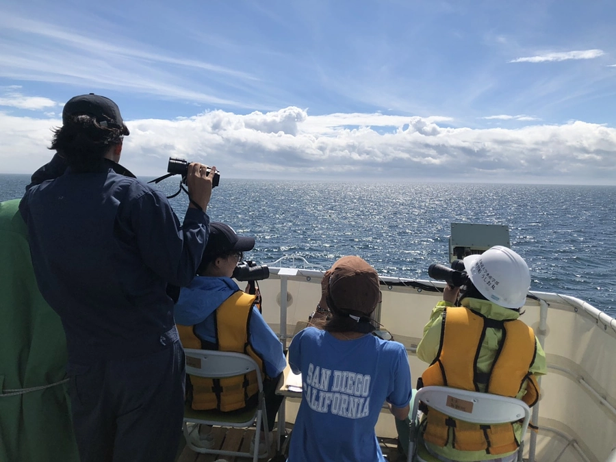 シャチはどこにいるか？