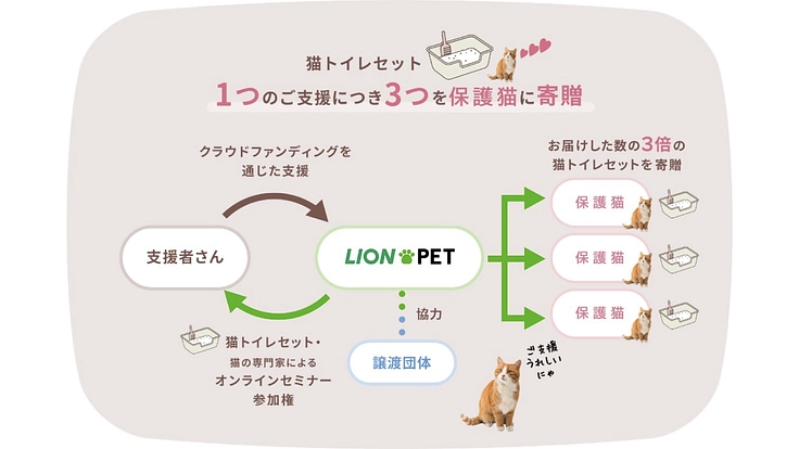 猫の殺処分を減らすために。保護猫の新生活を、猫トイレセットで応援