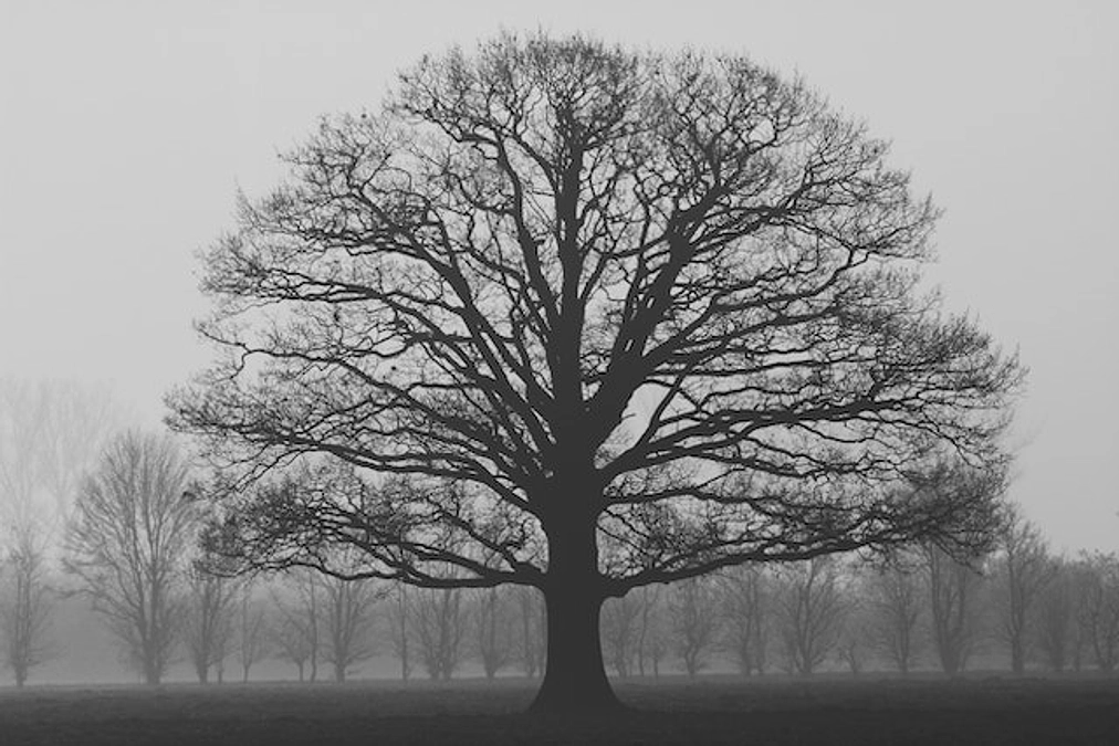 「男女別勤務」鎮魂のうた