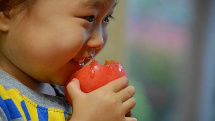 栄養不足の子ども達に新鮮な野菜を届け、健やかに育ってほしい！