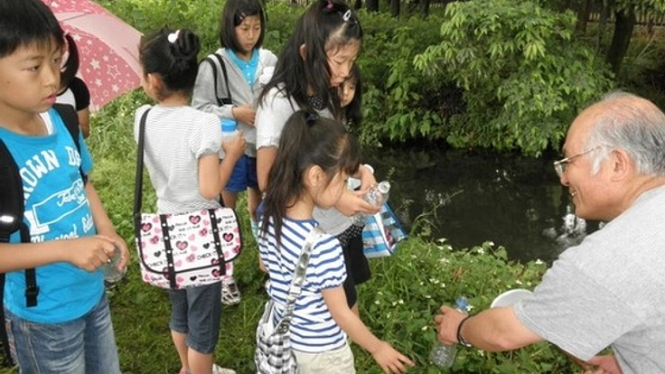 新田湧水群の保全を行いホタルの生息地を再生したい