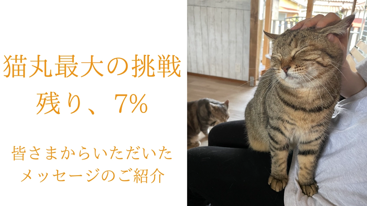 【93%突破】皆さまからいただいた応援コメントを胸に