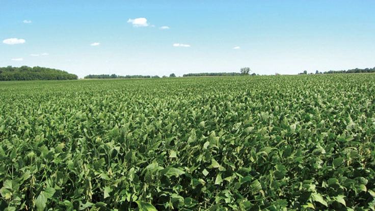 地元農家の悩みを解決するために、トラクターを購入したい！