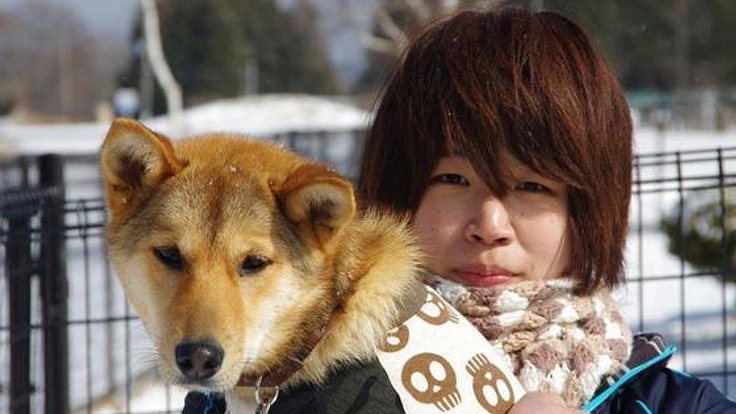 病気に苦しむ捨て犬たちに必要な治療を受けさせてあげたい!