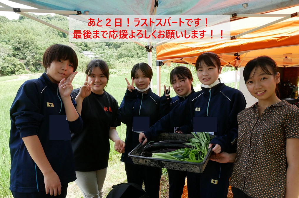 【残り２日！】ラストスパートです！