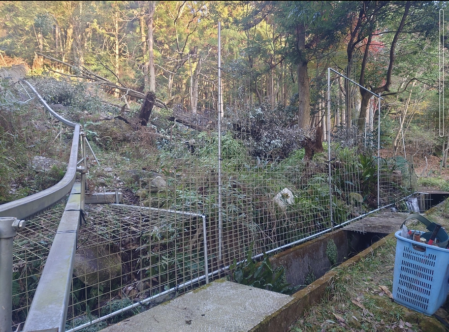 ご支援期間満了報告と今後のお知らせ