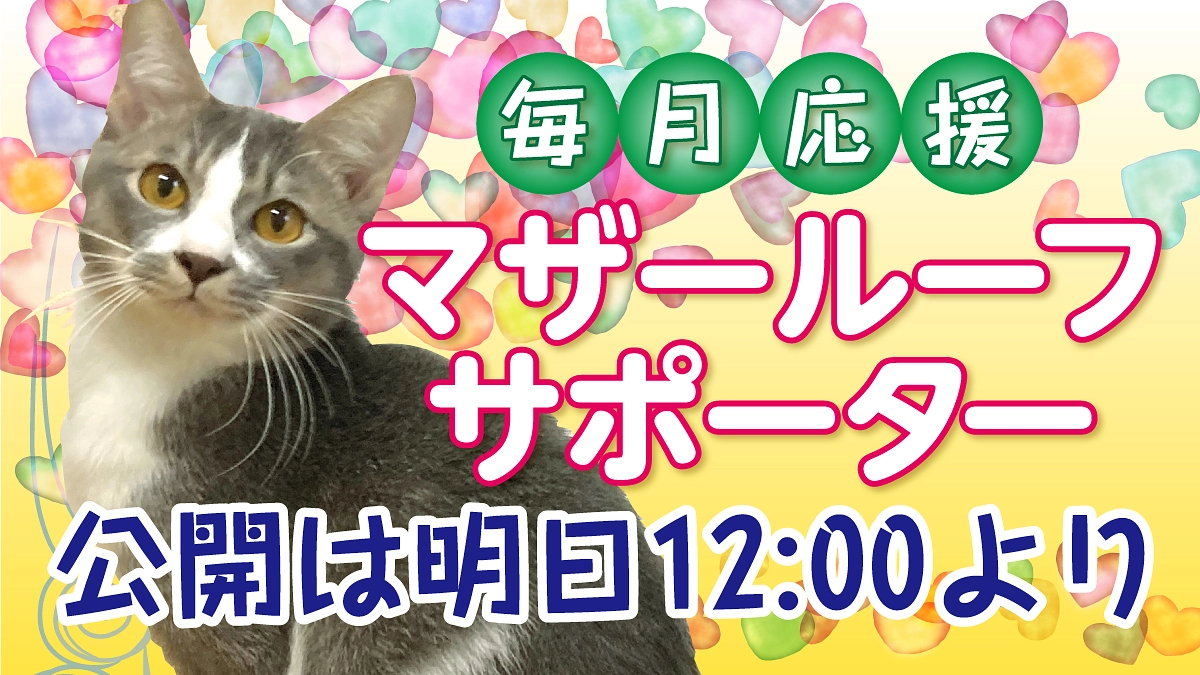 マザールーフサポーターを募集します！