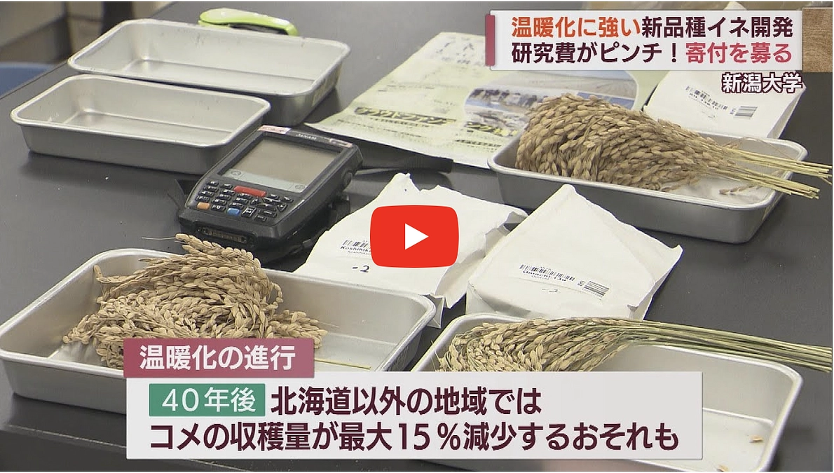 新潟のテレビ局UX新潟テレビ21で放送されました！