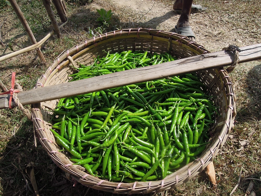 【リターン送付遅延のお詫び】