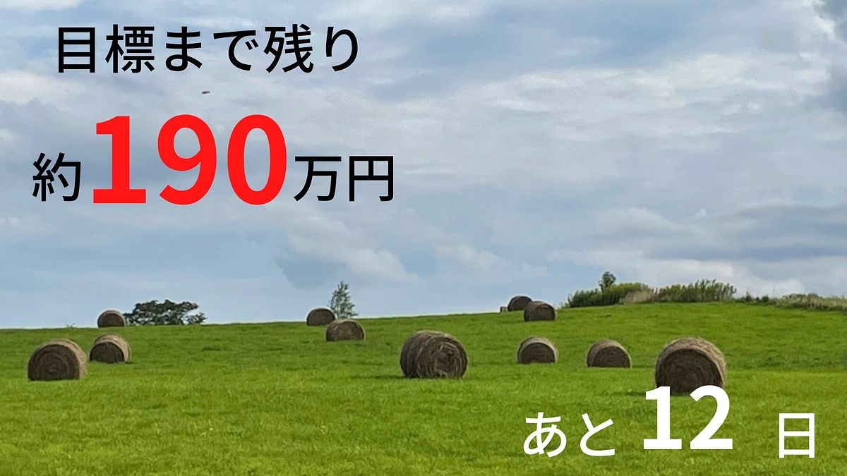 残り12日で現在37%。ここまでのご支援に心より感謝します！