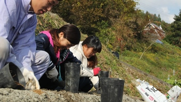 高知の荒地でシャクヤクを600本咲かせ、限界集落を憩い集落に