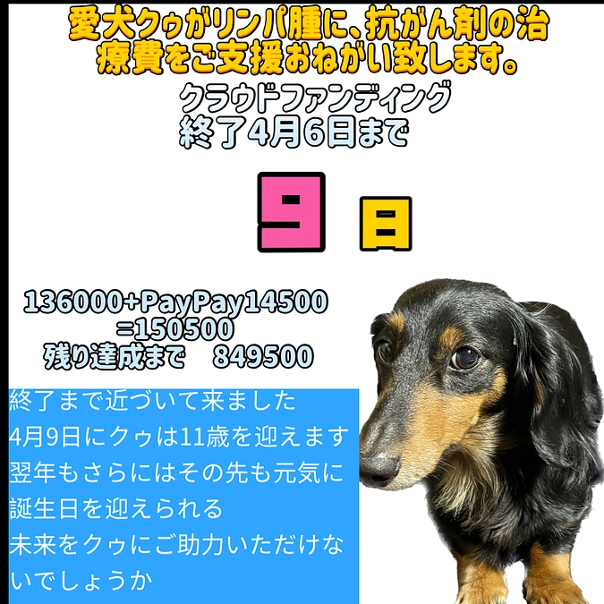 3月28日 可愛さアピールを心得ているクゥ
