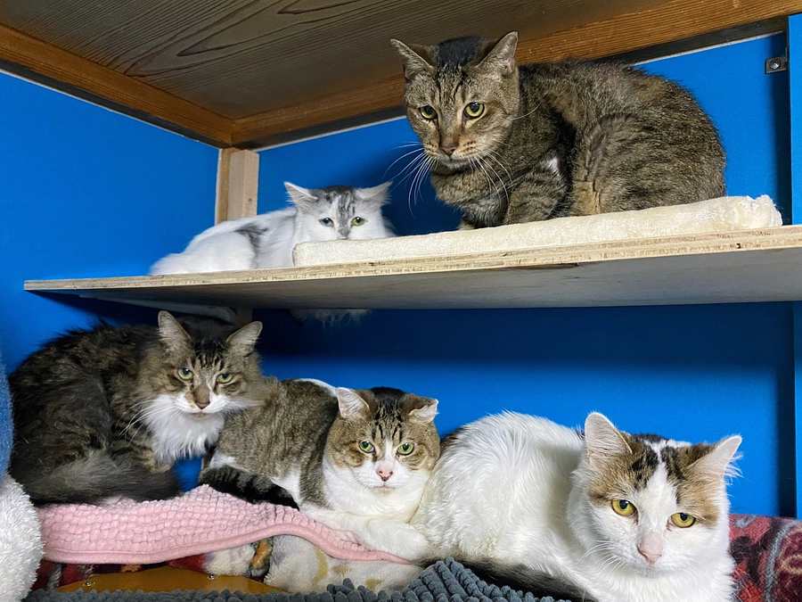 ★ お部屋の修繕が完了のご報告