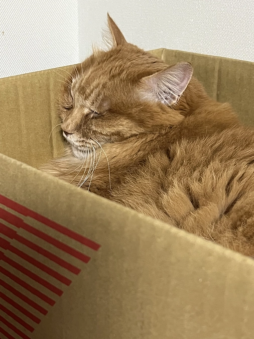 振り出しに戻る？