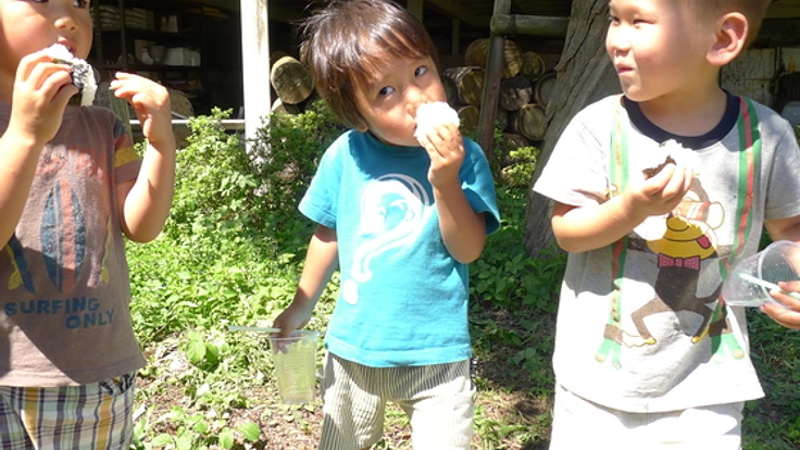休耕田を復活させて自然栽培したお米を保育園の給食に！