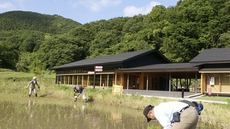茨城の棚田米で地酒づくり！参加することで支える遊休農地活用！