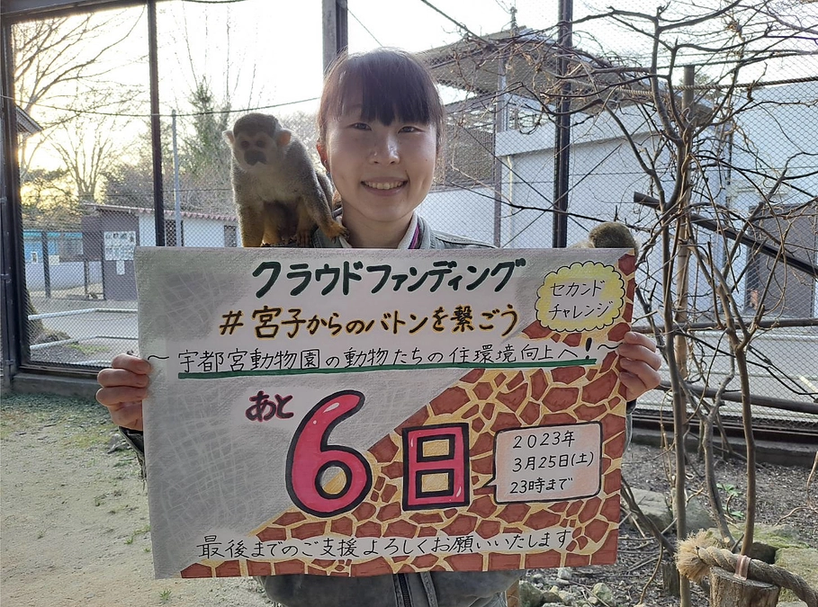 【ラストスパート！】プロジェクト終了まであと6日！！