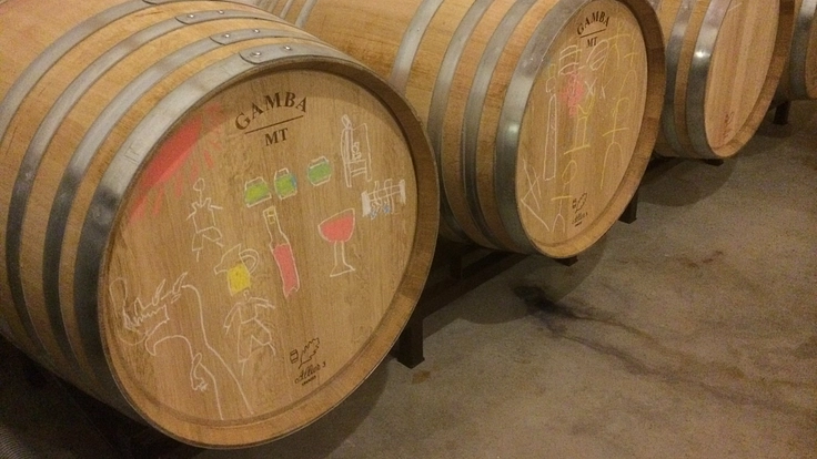 カンティーナ・リエゾー｜皆さんとアグリツーリズモの実現を目指したい 4枚目