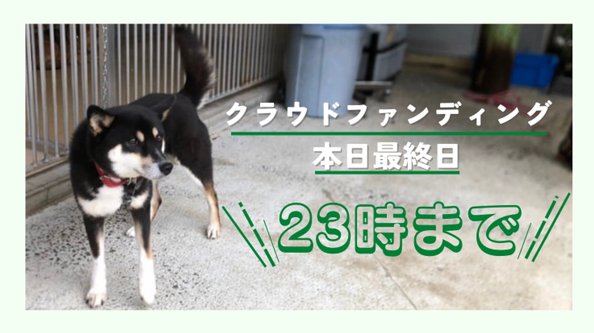本日最終日！ | 23時まで一押し、最後までご支援お願いします！