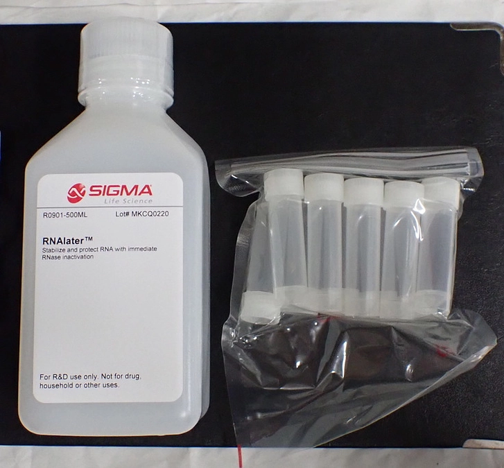 ドローン解説その② ブローのサンプリング