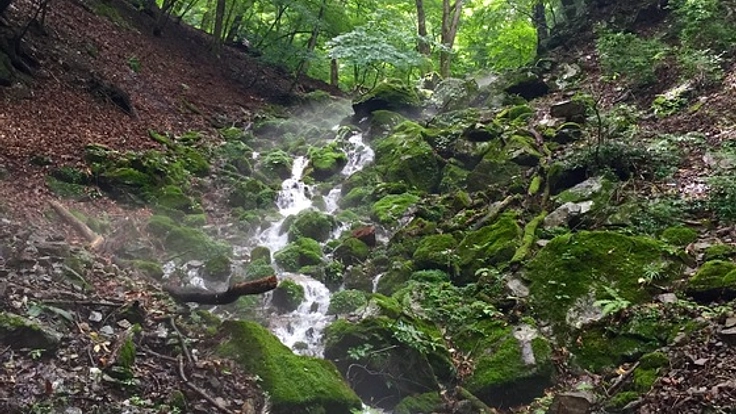 水源の森を守りたい！