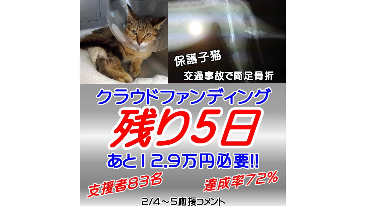 終了まであと5日！！