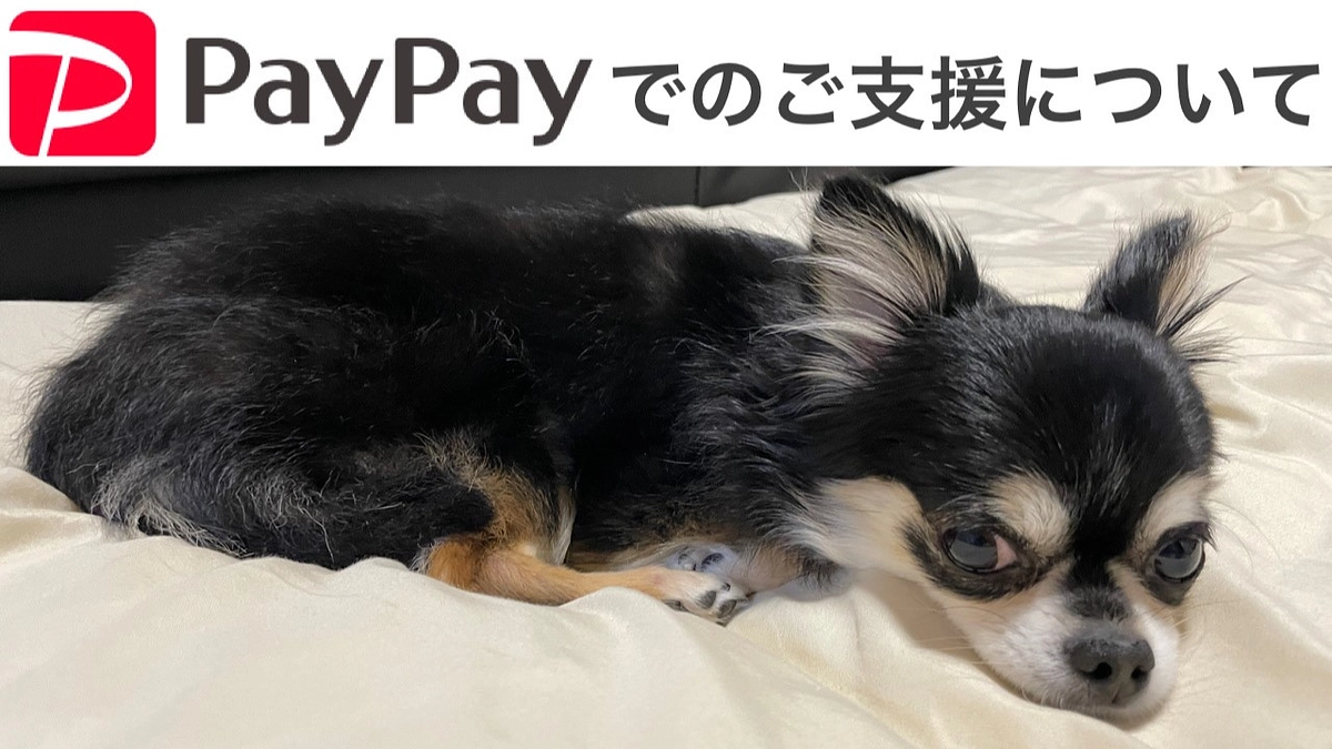 PayPayでのご支援について