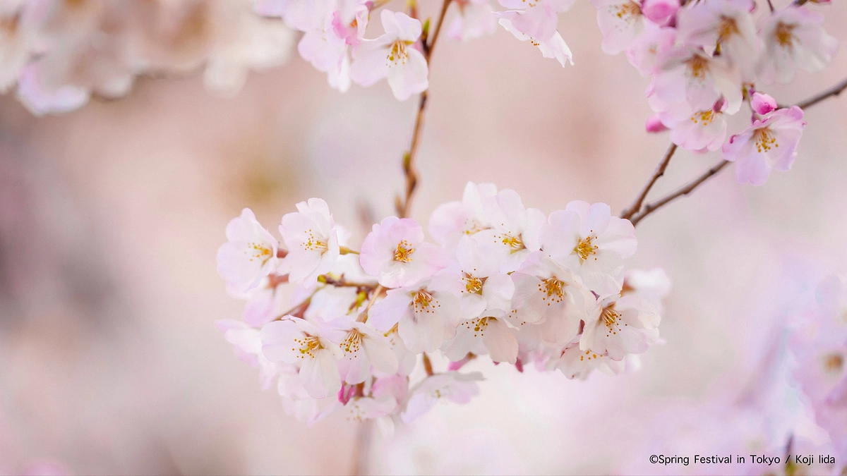 ご芳名掲載のお知らせ