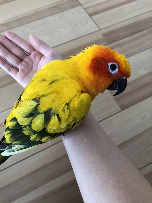 リターン品のご紹介✨ 続き