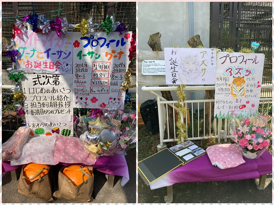 【✨#支援で推し活✨】たくさんのご支援ありがとうございました！