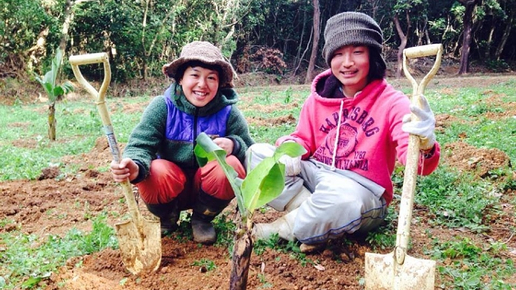 人口100人の宝島に、無農薬バナナ栽培の手伝いに行きたい！