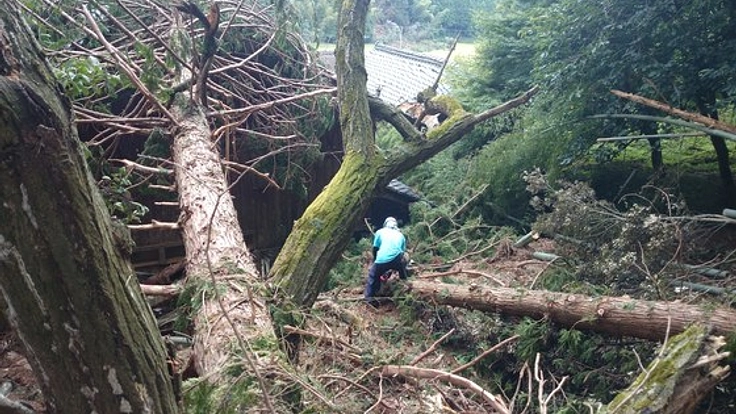 災害時も動ける森林里山保全ボランティアを三重県熊野市で育成！