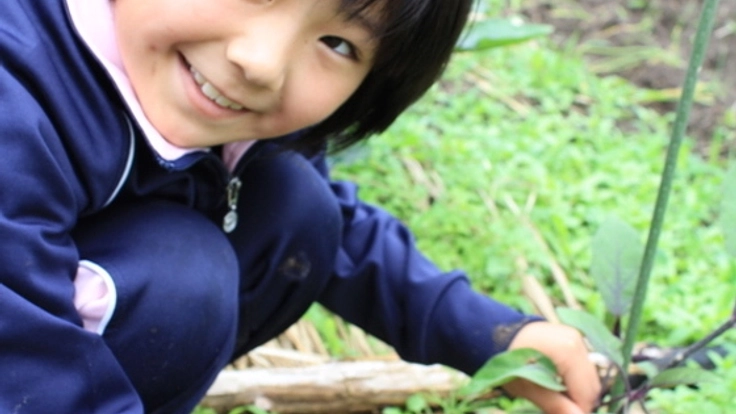 天城に大豆畑を借りて子どもたちと一緒に農業体験をしたい！