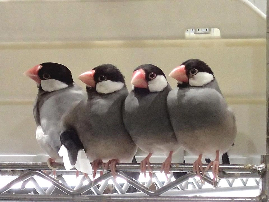 ご支援方法のご案内