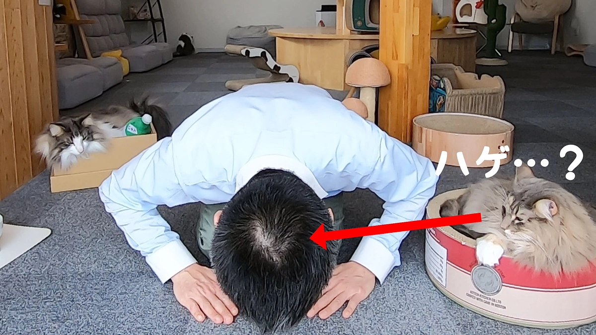 プロジェクト挑戦から2週間