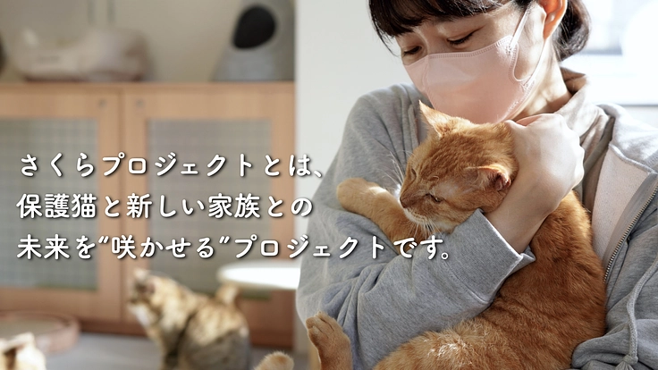 猫の殺処分を減らすために。保護猫の新生活を、猫トイレセットで応援！ 2枚目