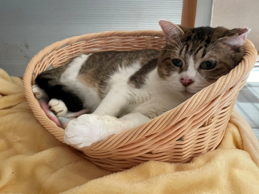 ★レディーフォーさまより、入金日のご連絡をいただきました