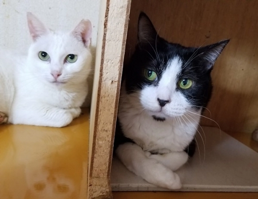 ★ゆずちゃん　近況