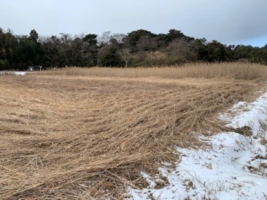 田んぼの開墾作業を開始しました。