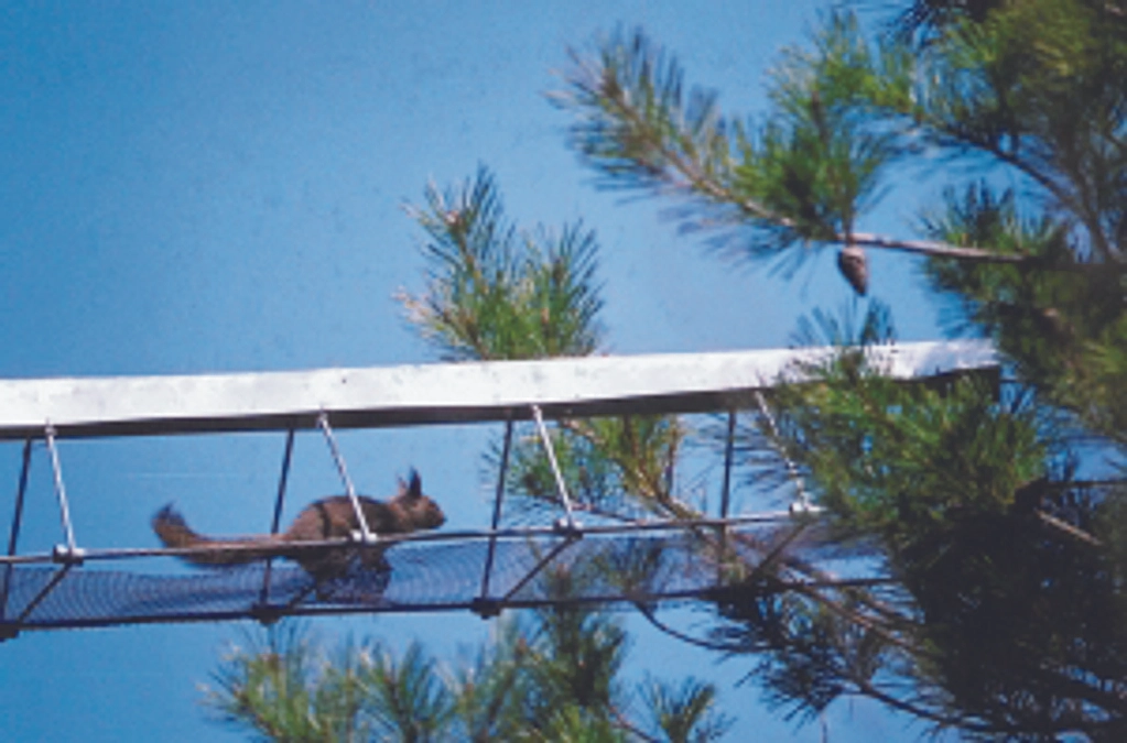 アニマルパスウェイ開発ものがたり　エピソード７