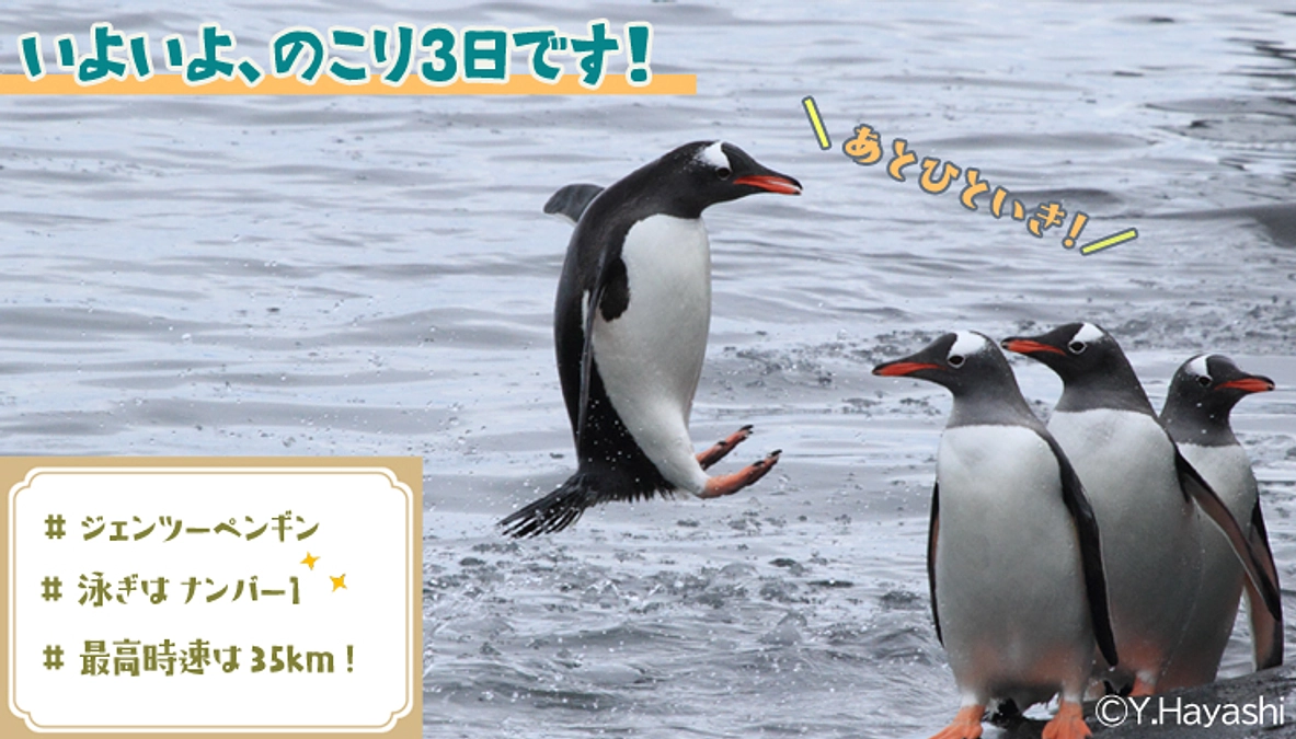 のこり３日となりました！