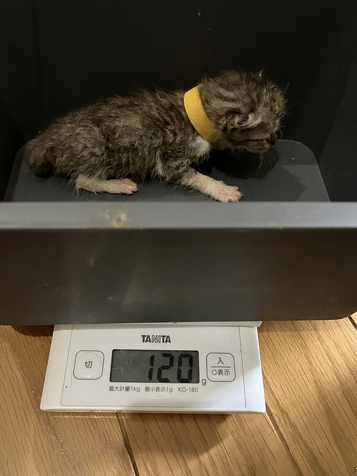 生活スペースの工事が終わりました!