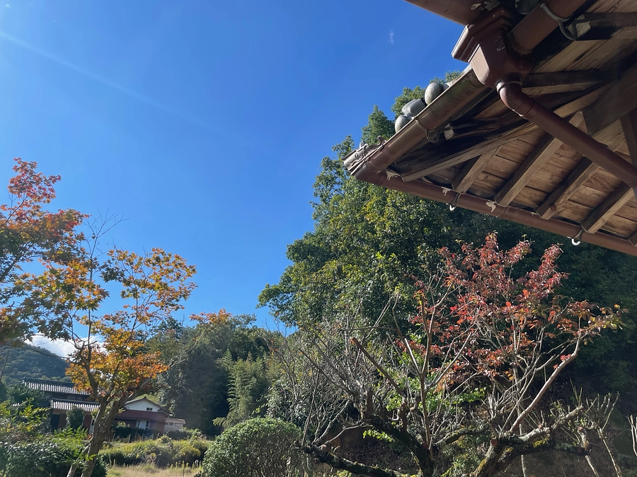 ご支援者数が100名を超えました